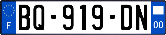 BQ-919-DN