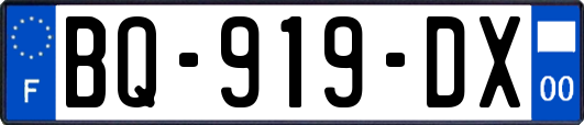 BQ-919-DX