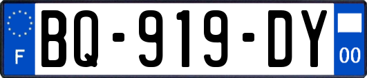 BQ-919-DY