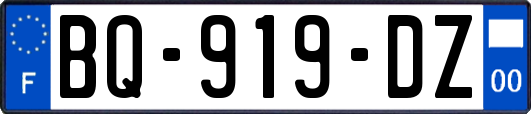 BQ-919-DZ