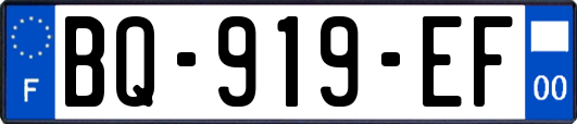 BQ-919-EF