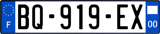 BQ-919-EX