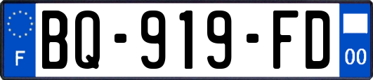 BQ-919-FD