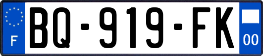 BQ-919-FK