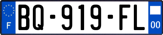 BQ-919-FL