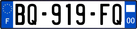 BQ-919-FQ