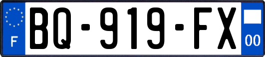 BQ-919-FX