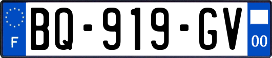 BQ-919-GV