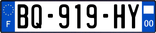 BQ-919-HY