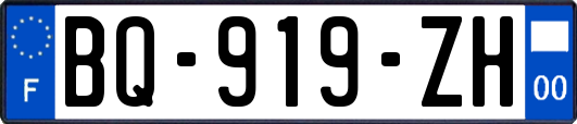 BQ-919-ZH