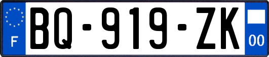 BQ-919-ZK