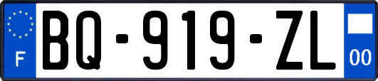 BQ-919-ZL