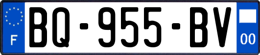 BQ-955-BV