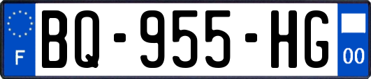 BQ-955-HG