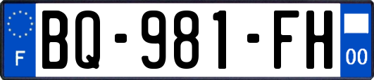BQ-981-FH