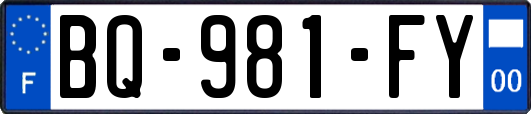 BQ-981-FY