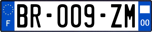 BR-009-ZM