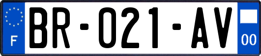 BR-021-AV