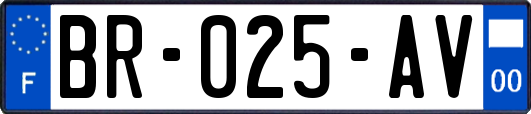 BR-025-AV
