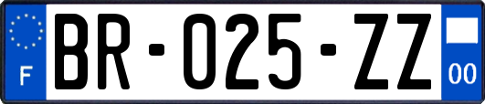 BR-025-ZZ