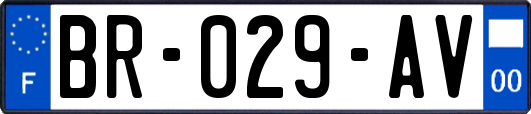 BR-029-AV