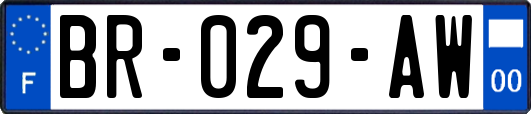 BR-029-AW