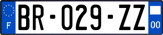 BR-029-ZZ