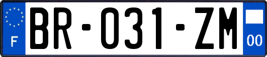 BR-031-ZM