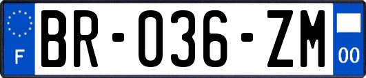 BR-036-ZM
