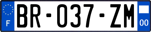 BR-037-ZM