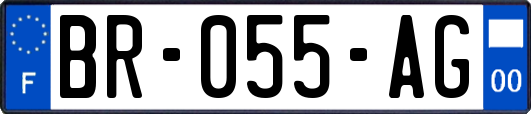 BR-055-AG