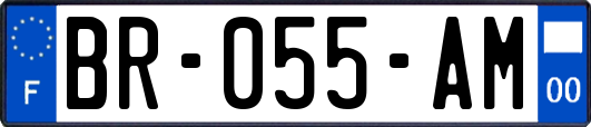 BR-055-AM