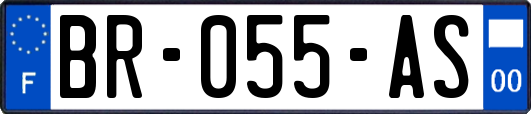 BR-055-AS