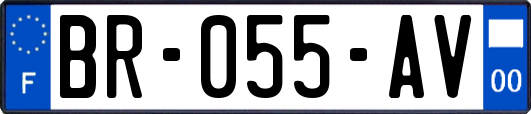 BR-055-AV