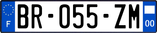 BR-055-ZM