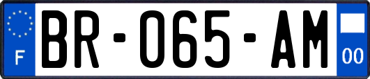 BR-065-AM