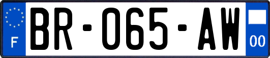BR-065-AW