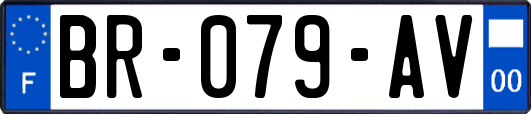 BR-079-AV