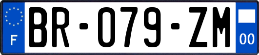 BR-079-ZM