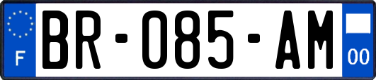 BR-085-AM
