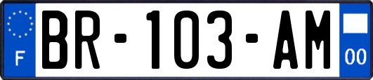 BR-103-AM