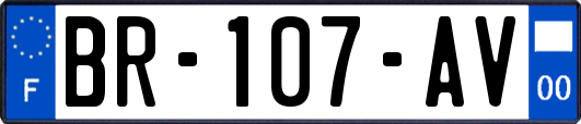 BR-107-AV