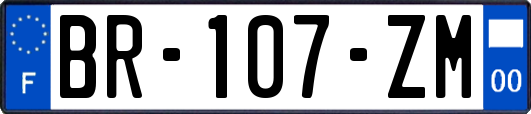 BR-107-ZM