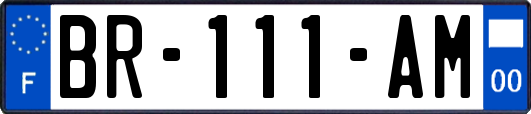 BR-111-AM