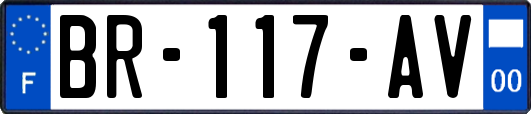 BR-117-AV