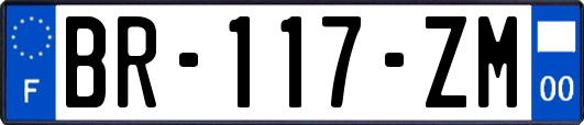 BR-117-ZM