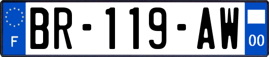 BR-119-AW