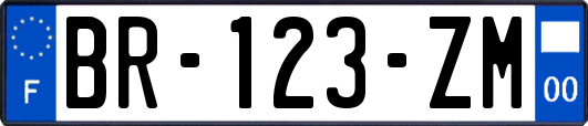 BR-123-ZM
