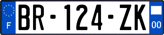 BR-124-ZK