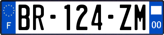 BR-124-ZM